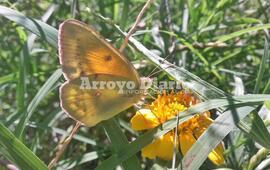 Imagen de Jornada agradable con una m&aacute;xima que alcanzar&aacute; los 27 grados