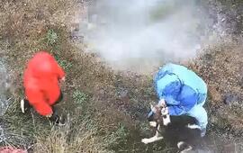 Foto: captura de pantalla video