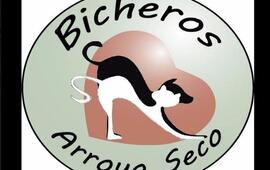 Imagen de Colaborá con Bicheros para que continúen con las castraciones
