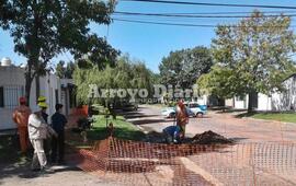 Foto: Leo Cabrera