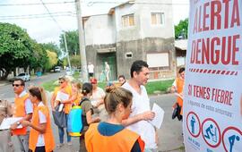 Imagen de Dengue: se conoció el primer caso autóctono en Rosario