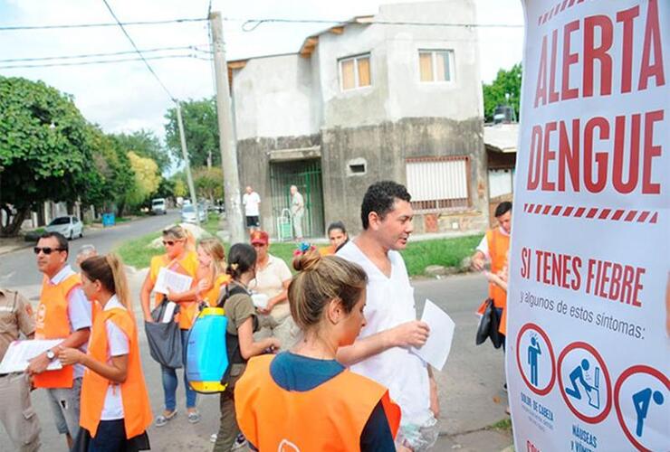 Imagen de Dengue: se conoció el primer caso autóctono en Rosario