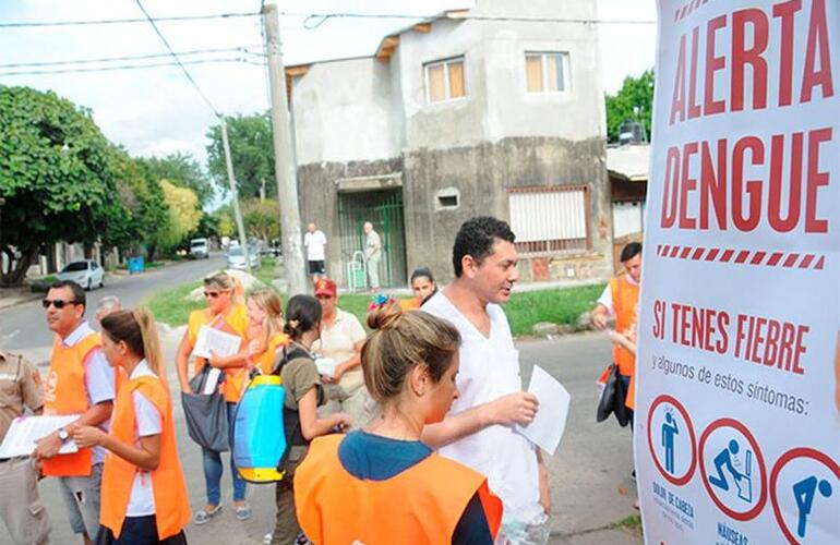 Imagen de Dengue: se conoció el primer caso autóctono en Rosario