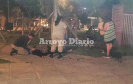 R&aacute;pida reacci&oacute;n. Agentes de la GUM enseguida pidieron por personal m&eacute;dico para asistir a la motociclista.