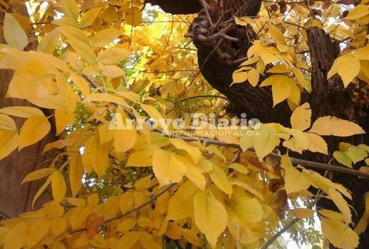 Imagen de El otoño arrancó bastante fresco