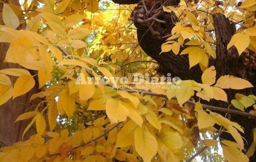 Imagen de El otoño arrancó bastante fresco