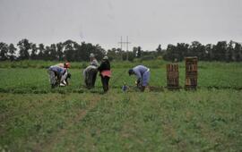 La Asamblea Pueblo Esther por la Vida pidi&oacute; seguir el ejemplo de algunas producciones ecol&oacute;gicas