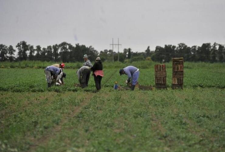 La Asamblea Pueblo Esther por la Vida pidió seguir el ejemplo de algunas producciones ecológicas