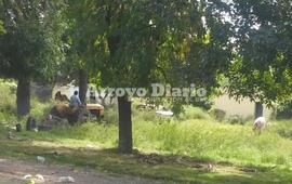 Sobre la foto. Los municipales trabajando ayer en el barrio.