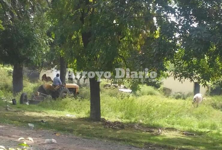 Sobre la foto. Los municipales trabajando ayer en el barrio.