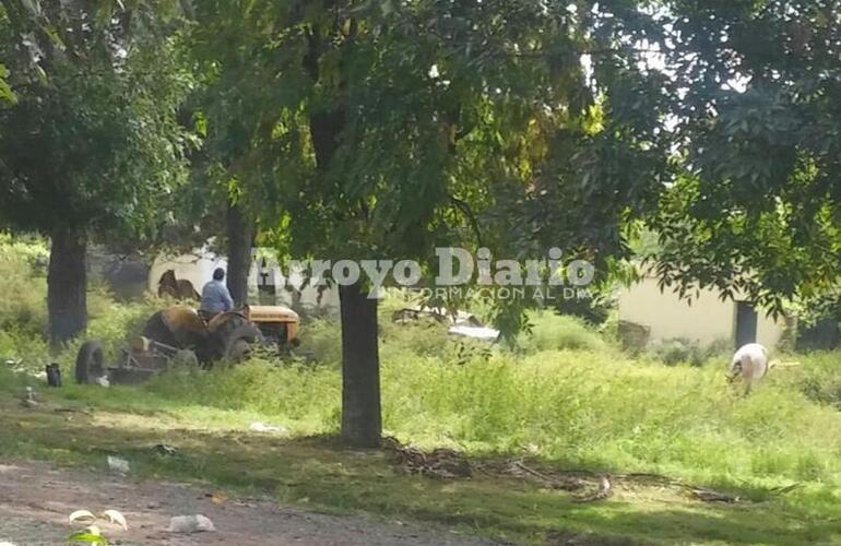 Sobre la foto. Los municipales trabajando ayer en el barrio.