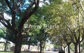 Imagen de Martes de fresco a agradable: se espera una máxima de 25 grados