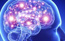 Foto: Imagen Ilustrativa