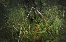 El lugar donde fue hallado el cuerpo de Micaela. Foto: Virginia Di Benedetto. La Capital