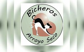 Imagen de Bono a contribuci&oacute;n "Bicheros de Arroyo Seco"