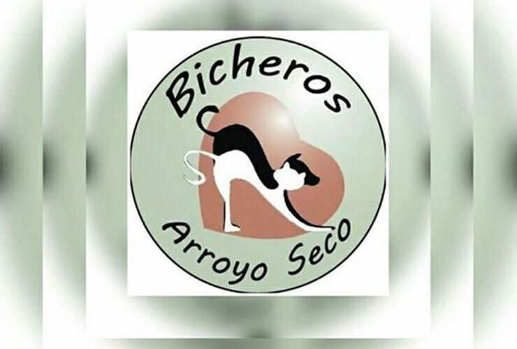 Imagen de Bono a contribución "Bicheros de Arroyo Seco"