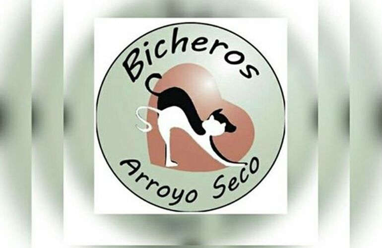 Imagen de Bono a contribución "Bicheros de Arroyo Seco"