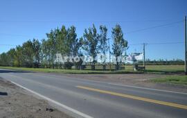 Foto: Gentileza Maximiliano Pascual, La Posta Hoy