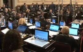 La sesión especial de este martes. El Senado aprobó por unanimidad.