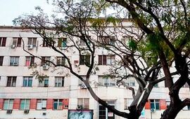 Imagen de Suspenden a psicóloga por interferir en aborto terapéutico de niña de 11 años