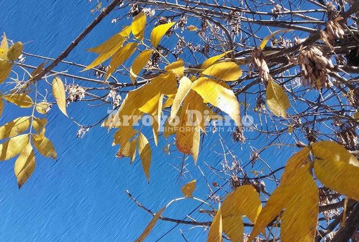 Hermoso paisaje.Los &aacute;rboles ya visten hojas amarillas por doquier.