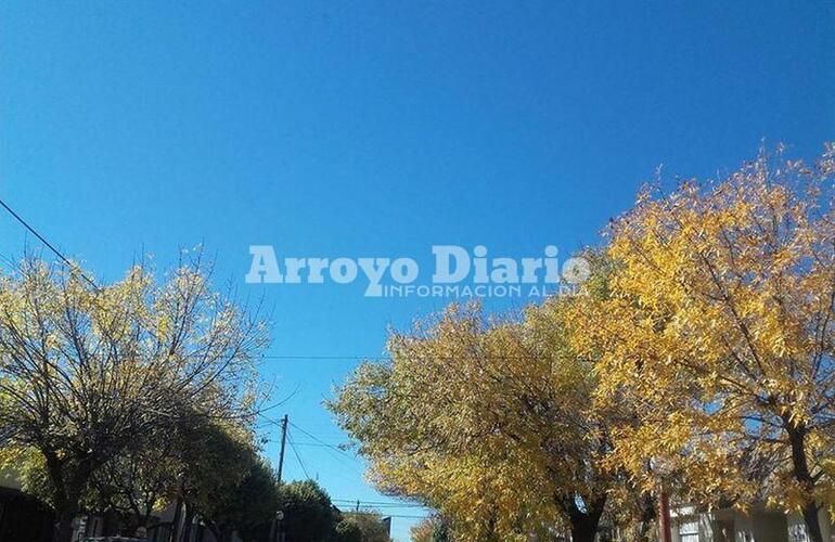 Cielito lindo. El cielo se muestra bien celeste desde temprano.