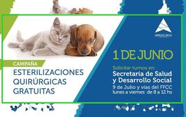 Imagen de Campaña de esterilizaciones quirúrgicas gratuitas