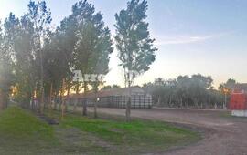 Imagen de Este jueves el term&oacute;metro ascender&aacute; hasta los 27 grados