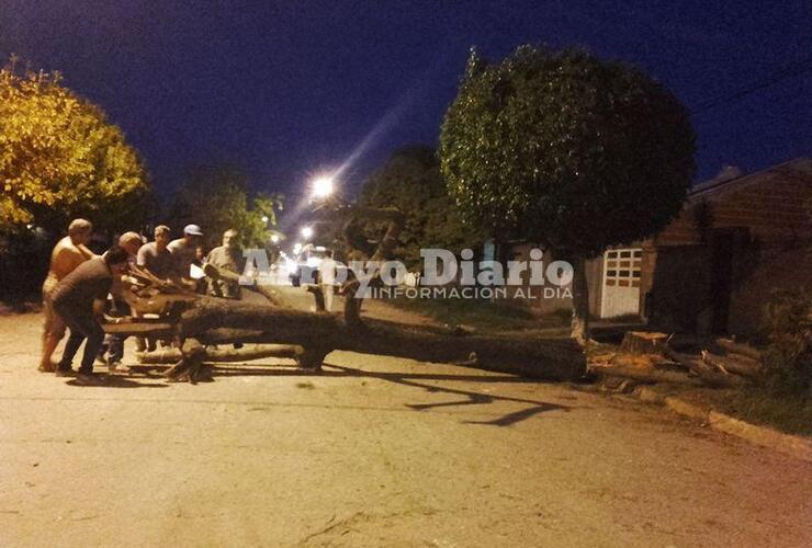 A mitad de la calle. Así quedó el árbol ya talado mientras los municipales intentaban moverlo para sacarlo y que no impida el paso vehicular.
