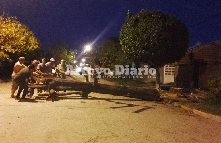 A mitad de la calle. Así quedó el árbol ya talado mientras los municipales intentaban moverlo para sacarlo y que no impida el paso vehicular. A mitad de la calle. Así quedó el árbol ya talado mientras los municipales intentaban moverlo para sacarlo y que no impida el paso vehicular.