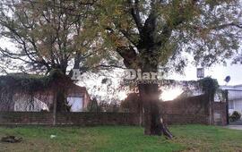 Terreno lindero. Los malvivientes estaban merodeando en este terreno bald&iacute;o ubicado al lado de la casa de los vecinos atacados.