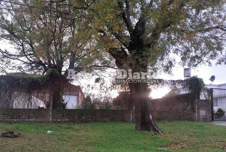 Terreno lindero. Los malvivientes estaban merodeando en este terreno baldío ubicado al lado de la casa de los vecinos atacados.