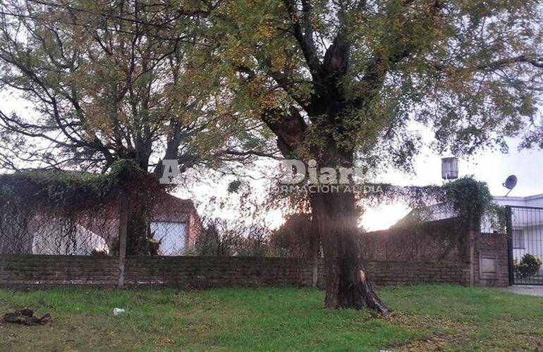 Terreno lindero. Los malvivientes estaban merodeando en este terreno baldío ubicado al lado de la casa de los vecinos atacados.