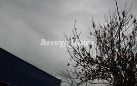 Cielo cubierto. Desde temprano el cielo se presentaba gris y así seguirá todo el día.