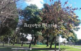 Jornada agradable. Cielo celeste y una m&aacute;xima que se espera que llegue a los 23 grados.