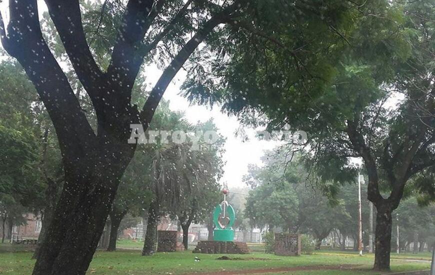 Gris y h&uacute;medo. La jornada se presenta fr&iacute;a y para salir bien abrigado.