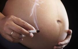 Imagen de Fumar en el embarazo afectaría la fertilidad por dos generaciones