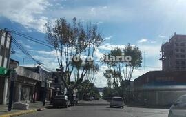 Imagen de Bien fresquito para arrancar el lunes