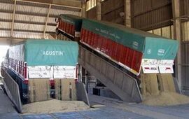 Imagen de Tragedia en la playa de camiones de una agroexportadora