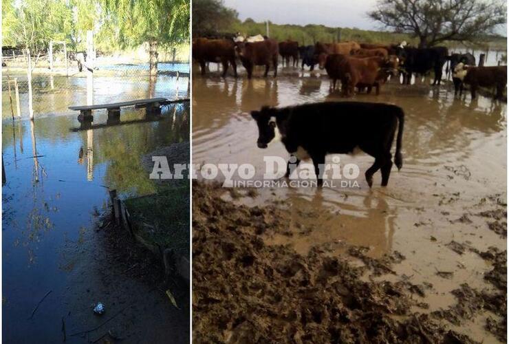 Imagen de Isleños afectados por la crecida del Río Paraná