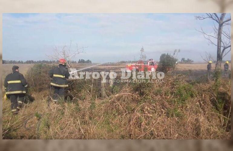 Imagen de Bomberos en incendio de pastizales