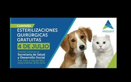 Imagen de Operativo de esterilizaciones de perros y gatos