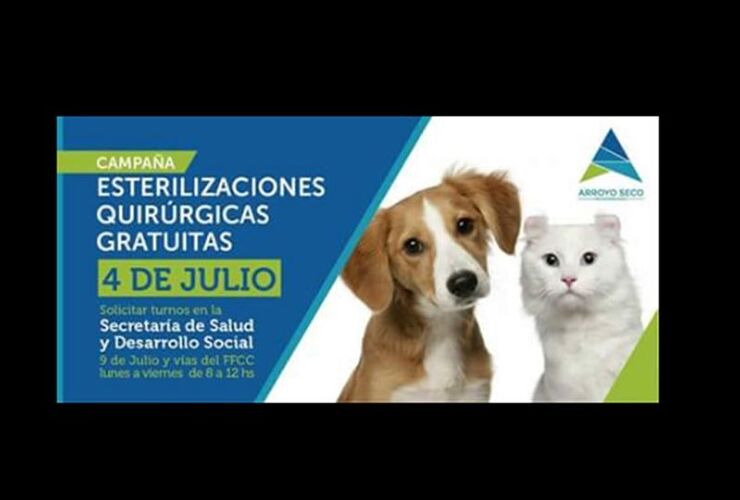 Imagen de Operativo de esterilizaciones de perros y gatos