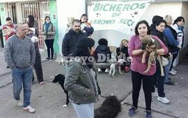 Imagen de Récord de castraciones en esta nueva jornada