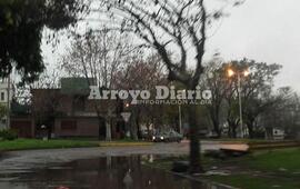 Imagen de Agua estancada en Mansueto Maiorano y Humberto Primo