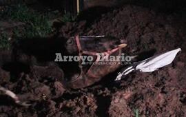 Enterrado. As&iacute; estaba el animal tras caer en el pozo; afortunadamente fue salvado.