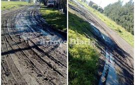 Enviadas por la vecina. Las im&aacute;genes fueron enviadas este mediod&iacute;a por la vecina que pidi&oacute; que se haga p&uacute;blica su queja.