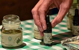 La universidad presta las aulas para las asambleas donde se debate sobre el uso del aceite medicinal de marihuana
