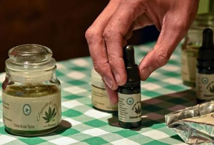 La universidad presta las aulas para las asambleas donde se debate sobre el uso del aceite medicinal de marihuana