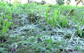 Foto: Imagen Ilustrativa. Canal 2